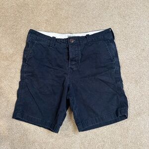 Abercrombie & Fitch Blue Flat Front Shorts